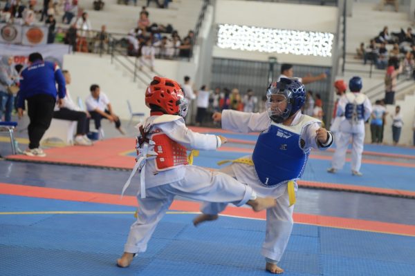 taekwondo